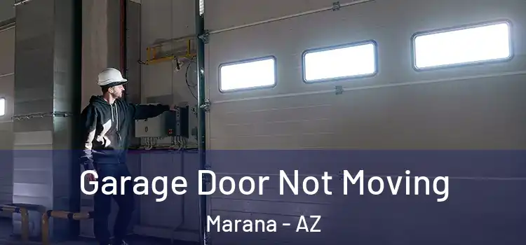  Garage Door Not Moving Marana - AZ
